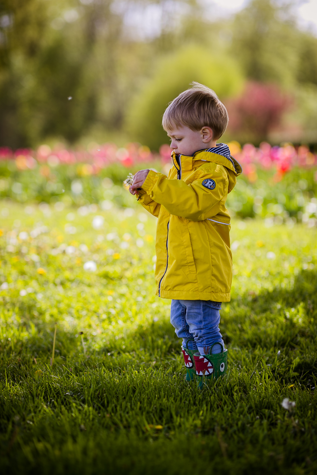 Export x3 1DX28280 Familienfotoshooting 2019 Hefti